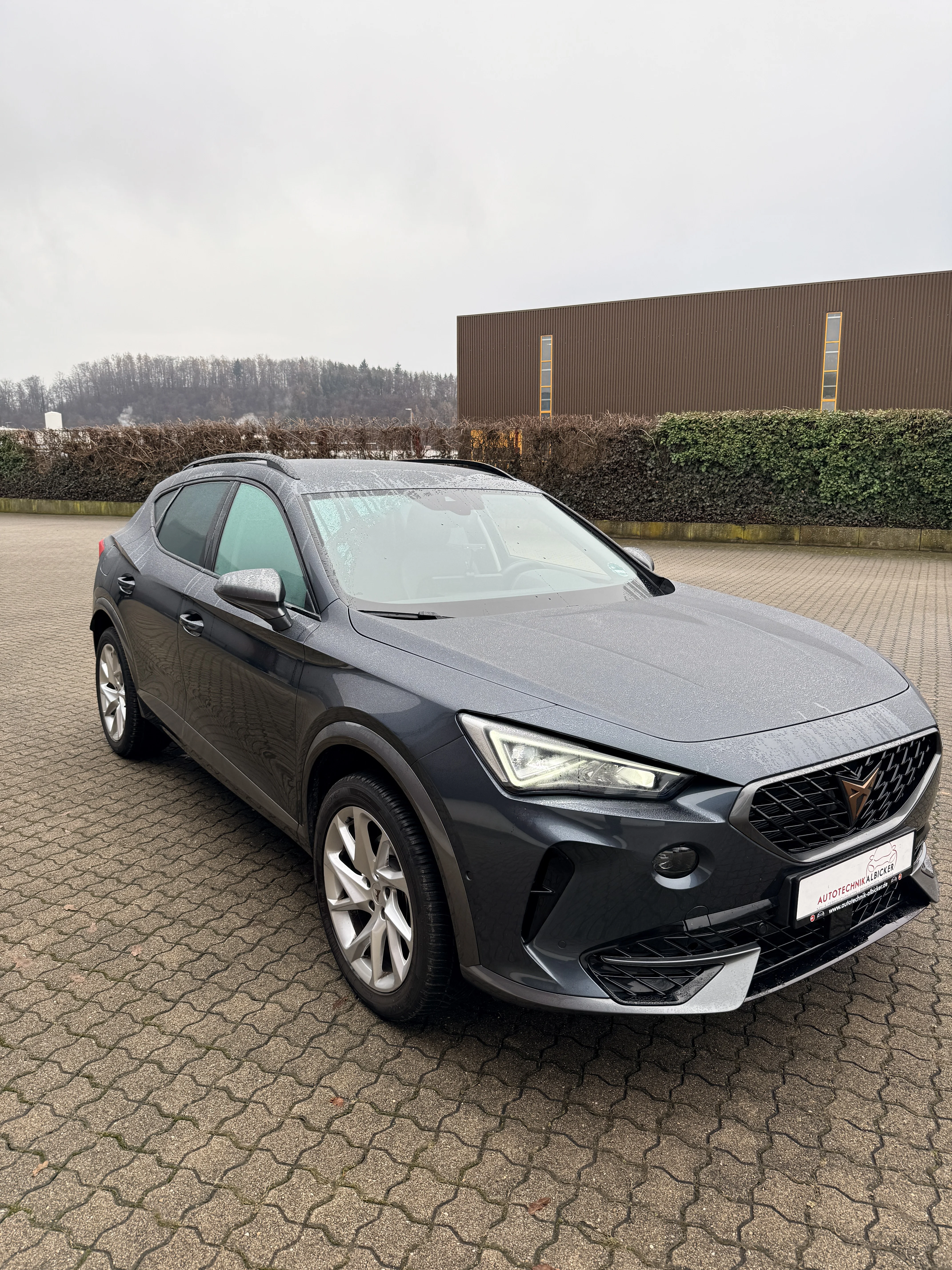 Cupra Formentor Chiptuning