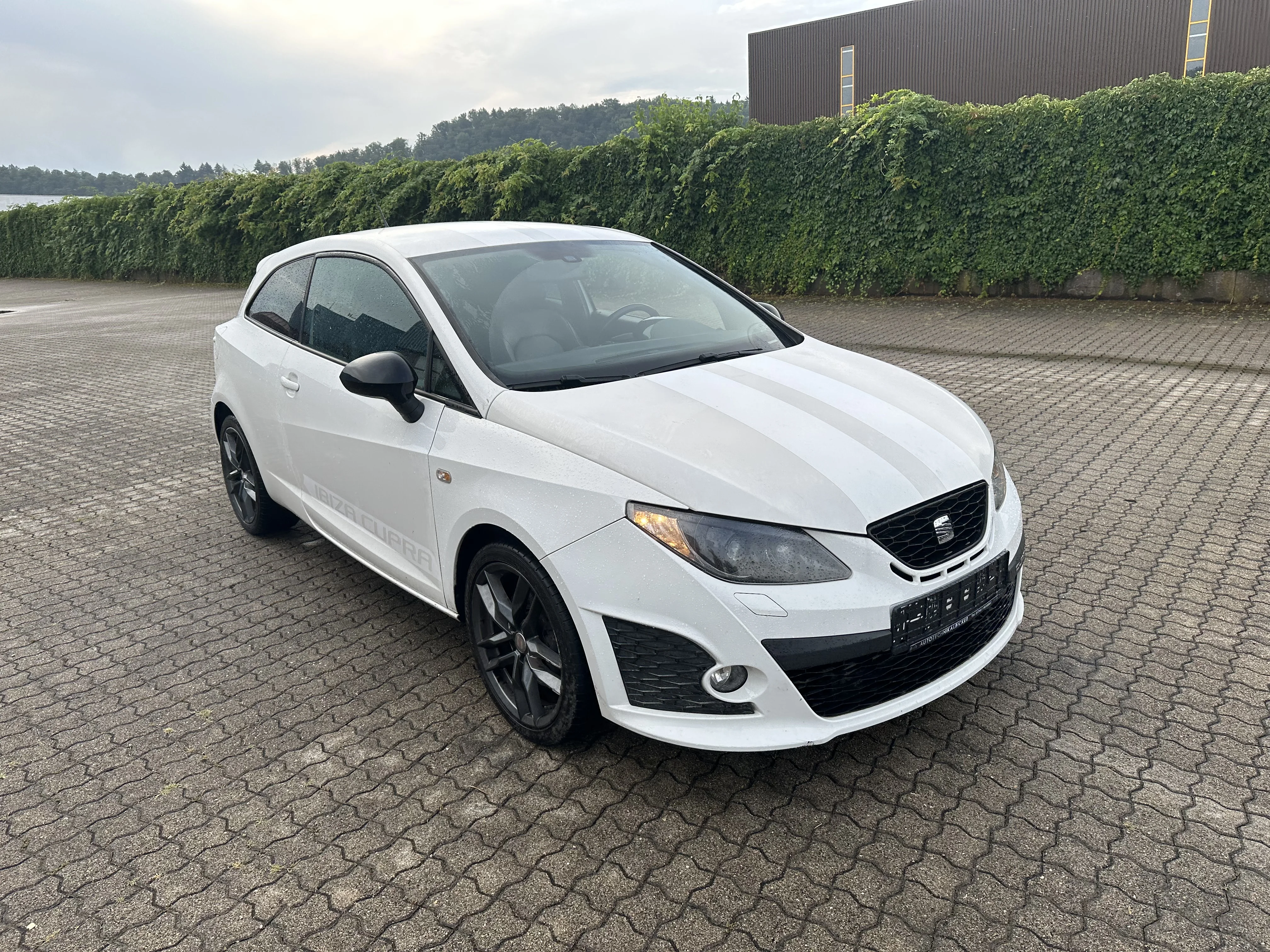 Seat Ibiza Cupra Chiptuning